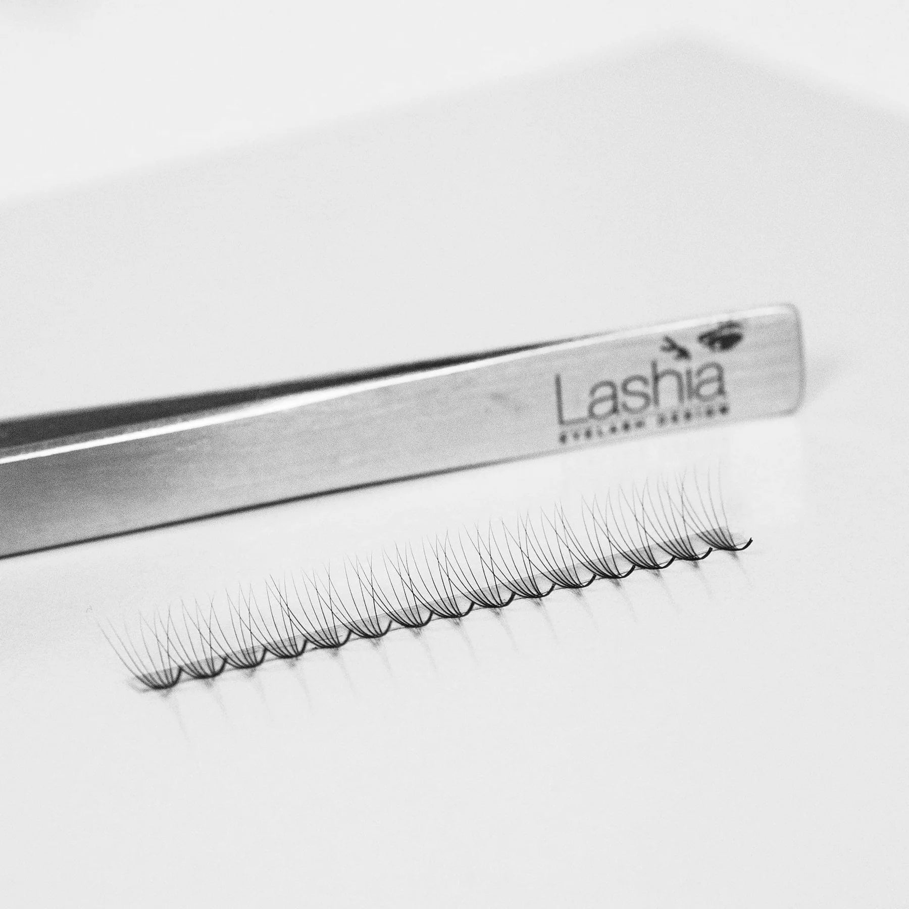 0,05 Lashia Promade 6D. 500st knippen i en ask. - LashiaMegastore/Shop Lashia