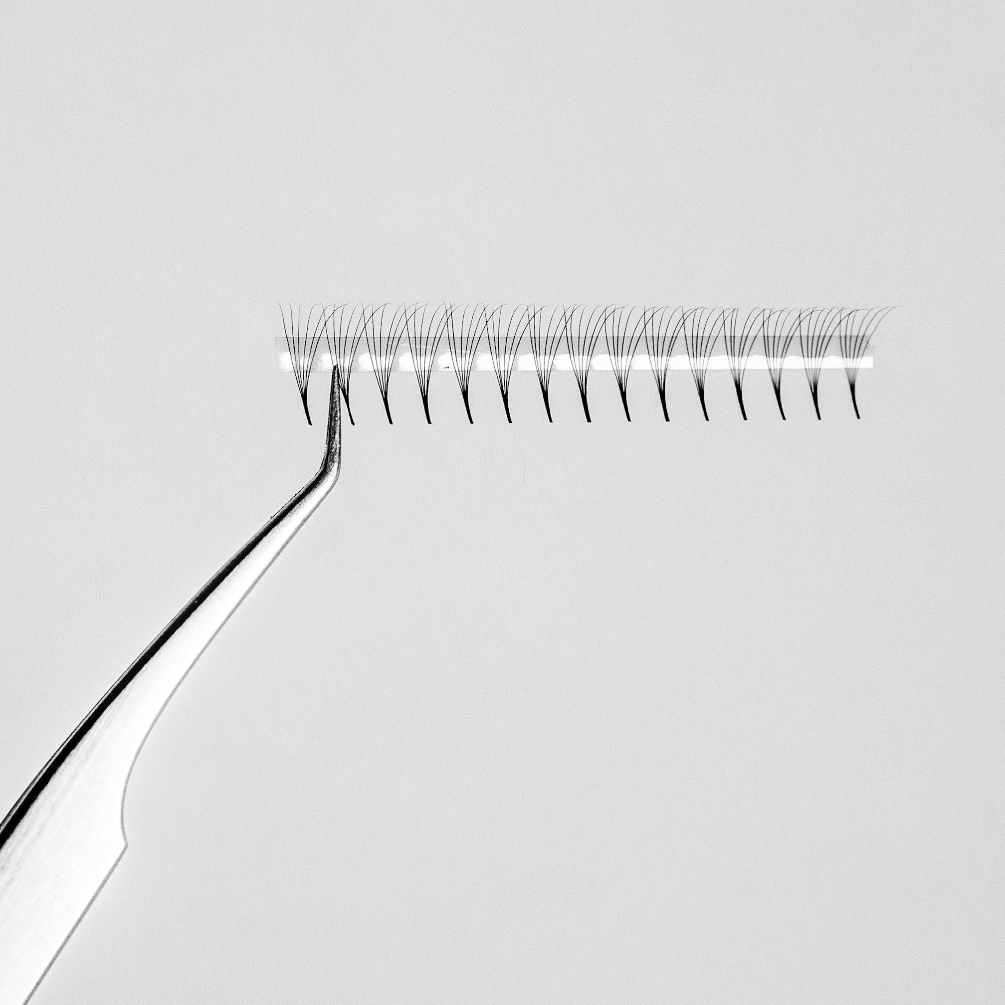 Gratis remsa Lashia Promade 6D / 0,05 - LashiaMegastore/Shop Lashia