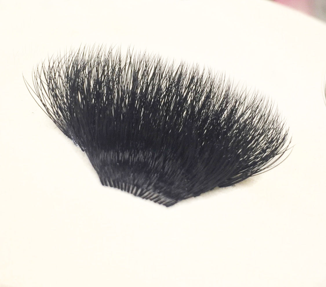 Svamp - LashiaMegastore